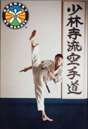 martial arts sensei
